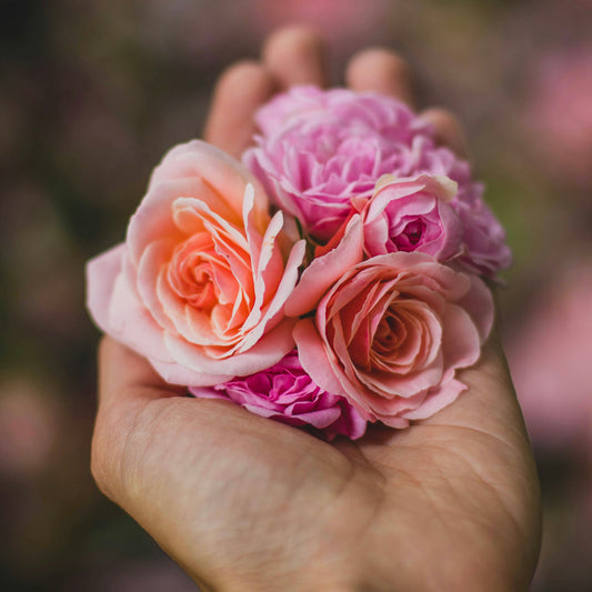 BUONO REGALO ✨Acquista il corso METODO VISIONE Face Yoga e/o ESSENZASANA olio viso e regala a chi vuoi tu!